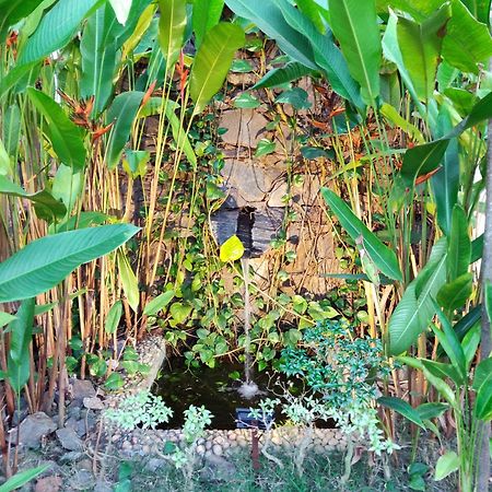 Rock Forest Goa Honeymoon Cottages Calangute Dış mekan fotoğraf